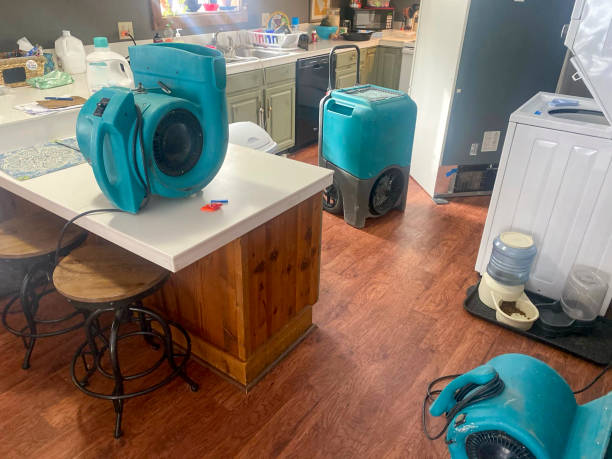 Best Residential water damage restoration  in Riverside, MO