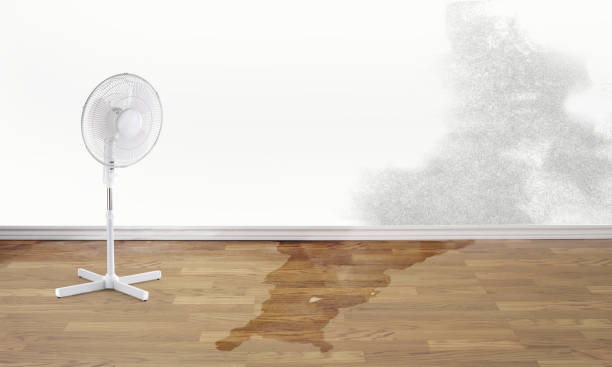 Best Water damage contractors near me  in Riverside, MO