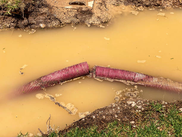 Best Local water damage restoration  in Riverside, MO